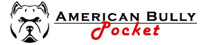 american-bully-pocket-logotipo